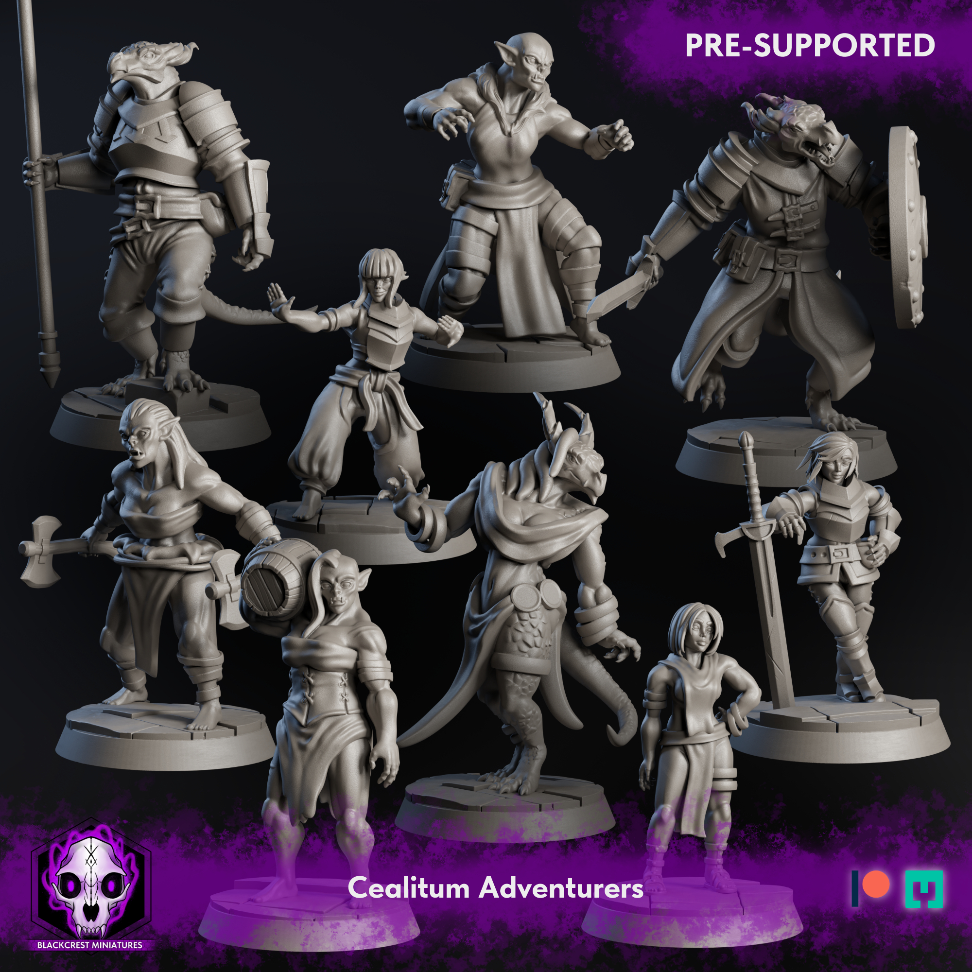 Caelitum Adventurers (9 Models)
